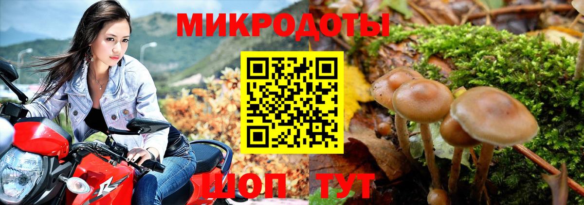 Псилоцибиновые грибы прущие грибы  Вход с VPN  Горячий Ключ 