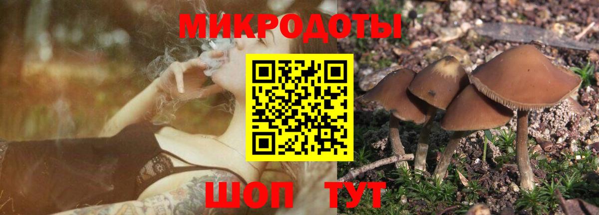 Галлюциногенные грибы мицелий Горячий Ключ